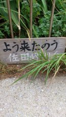 画像: もうすぐそこにわ九州大分県