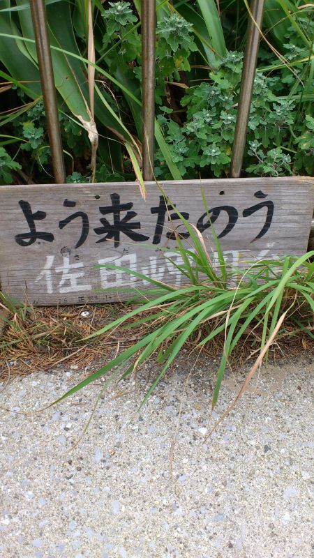 画像: もうすぐそこにわ九州大分県