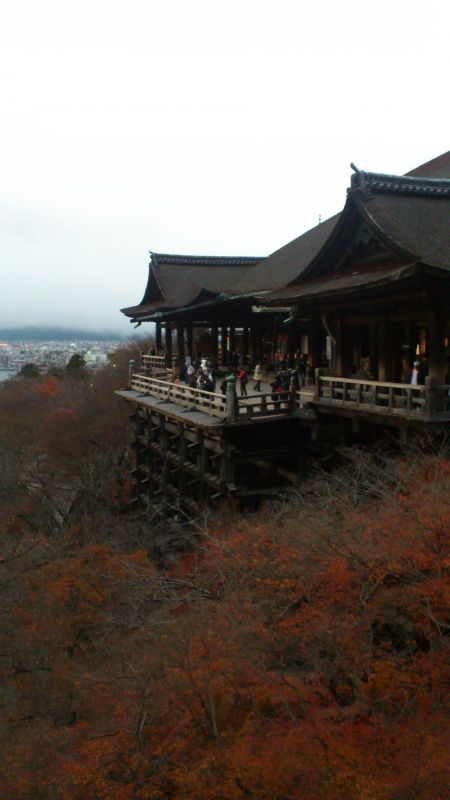 画像: 紅葉